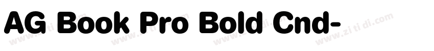 AG Book Pro Bold Cnd字体转换